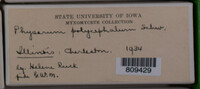 Image Associated With the Occurence